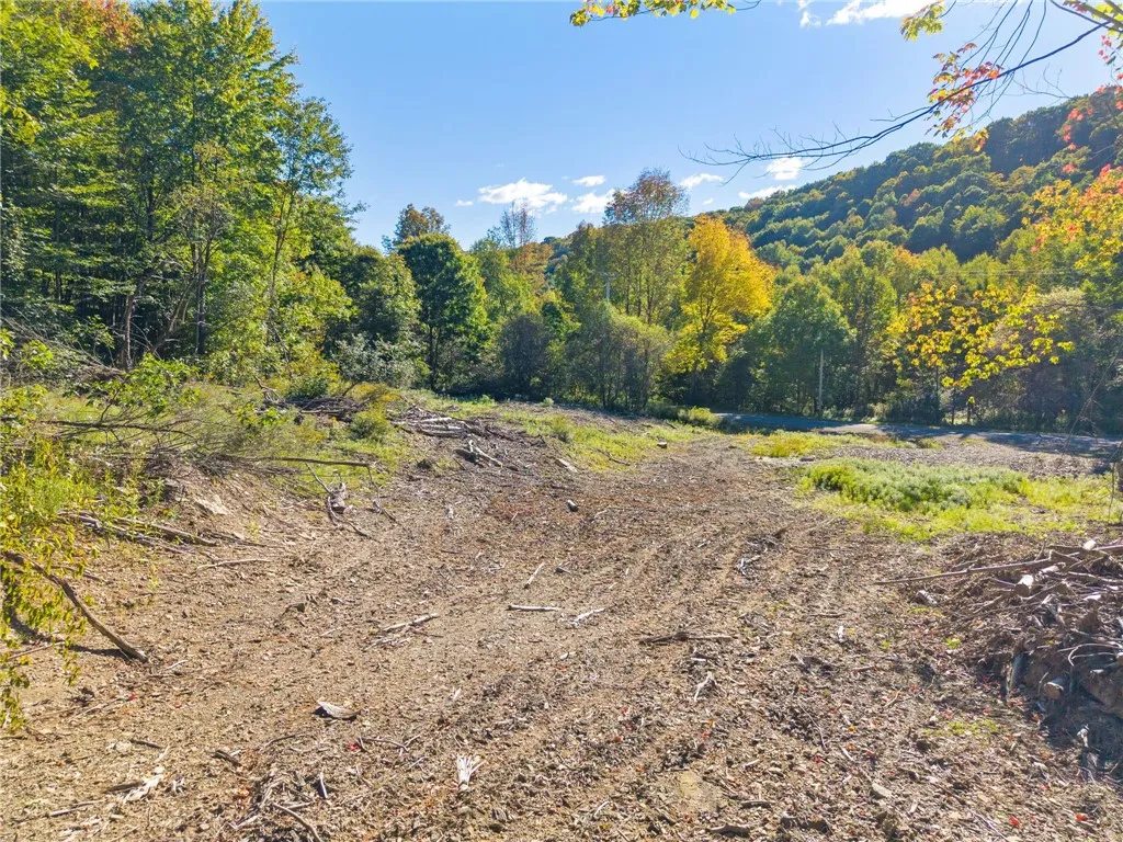 708 Smokey Avenue, Maryland, New York 12155, Maryland, New York 12155, ,Land,For Sale,708 Smokey Avenue, Maryland, New York 12155,0,R1552964