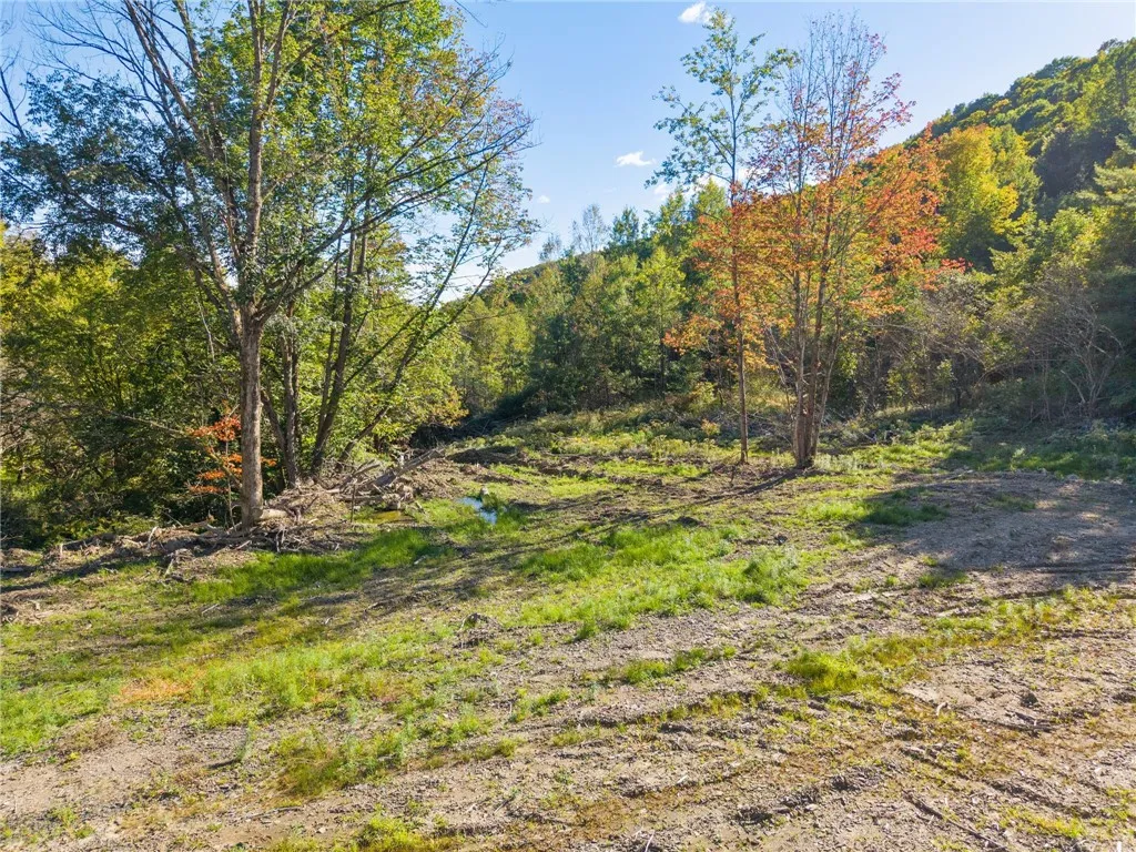 708 Smokey Avenue, Maryland, New York 12155, Maryland, New York 12155, ,Land,For Sale,708 Smokey Avenue, Maryland, New York 12155,0,R1552964