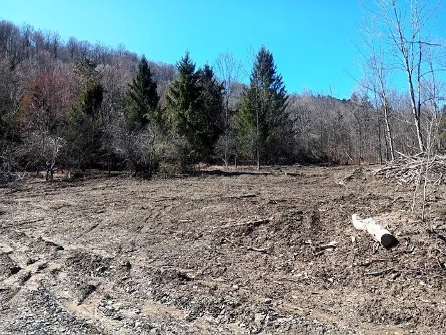 708 Smokey Avenue, Maryland, New York 12155, Maryland, New York 12155, ,Land,For Sale,708 Smokey Avenue, Maryland, New York 12155,0,R1552964