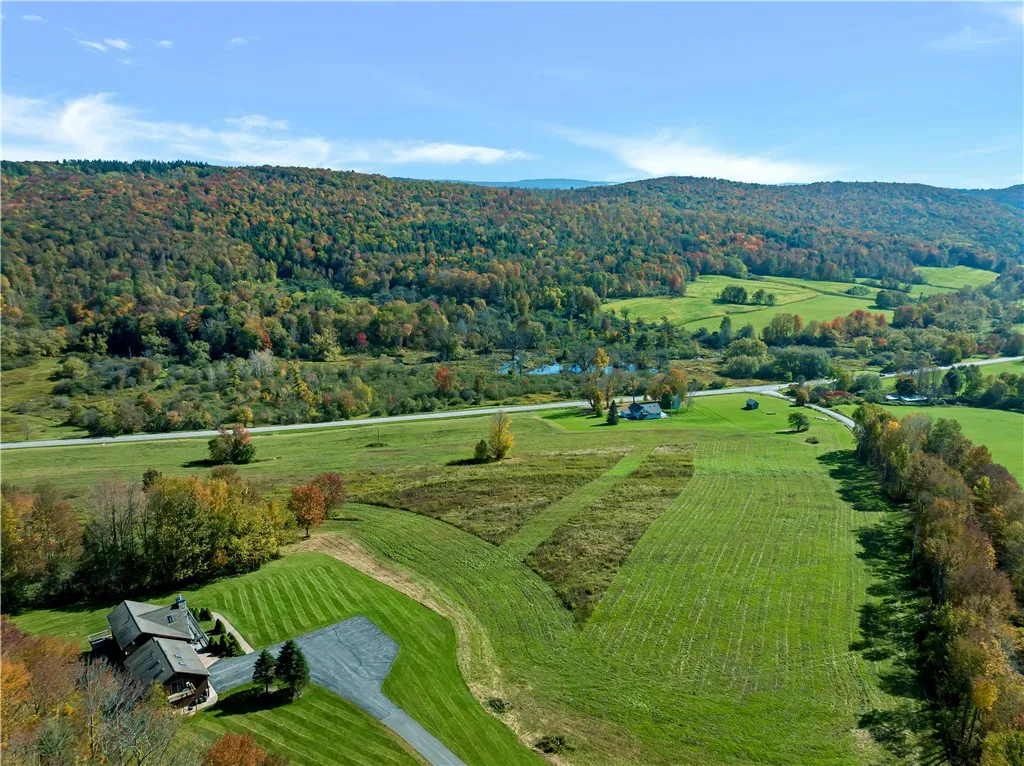 Drone view 2