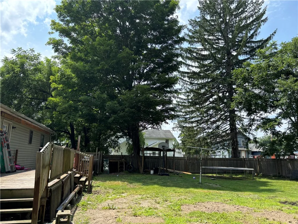 Back yard