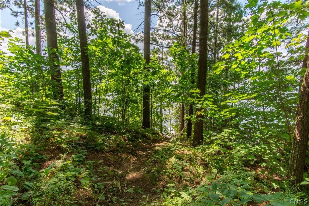 8750 North Shore Road, Diana, New York 13648, Diana, New York 13648, 3 Bedrooms Bedrooms, 6 Rooms Rooms,2 BathroomsBathrooms,Residential,For Sale,8750 North Shore Road, Diana, New York 13648,S1553486