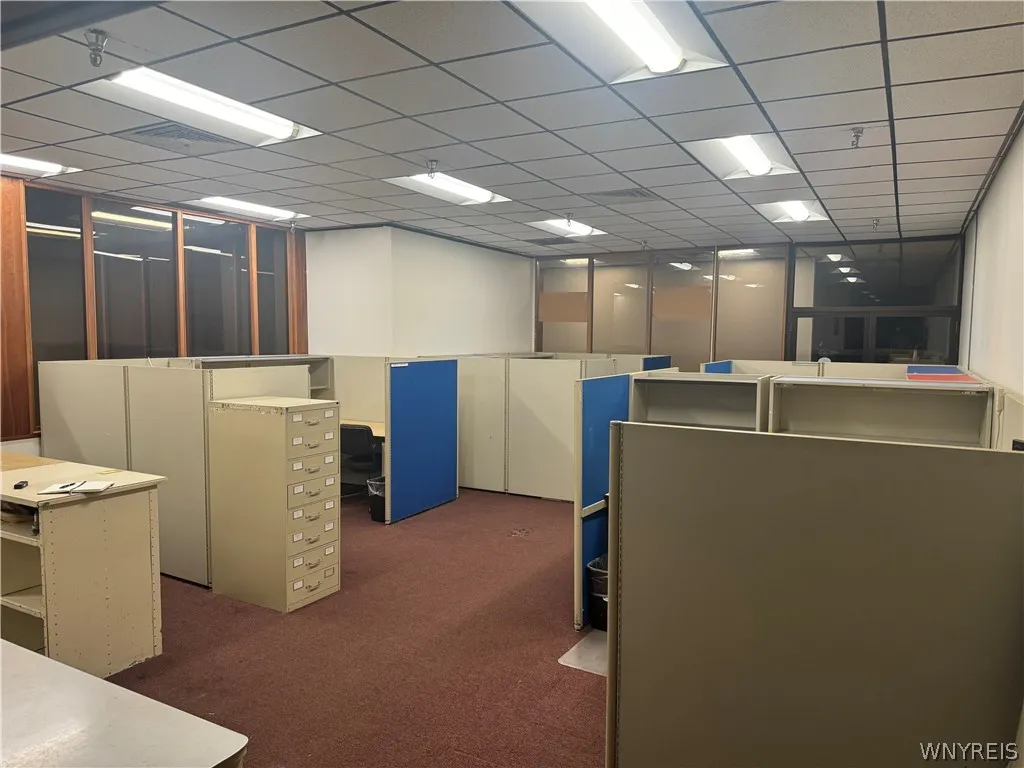 166 Taylor Drive, Cheektowaga, New York 14043, Cheektowaga, New York 14043, ,Commercial Lease,For Rent,166 Taylor Drive, Cheektowaga, New York 14043,B1552822