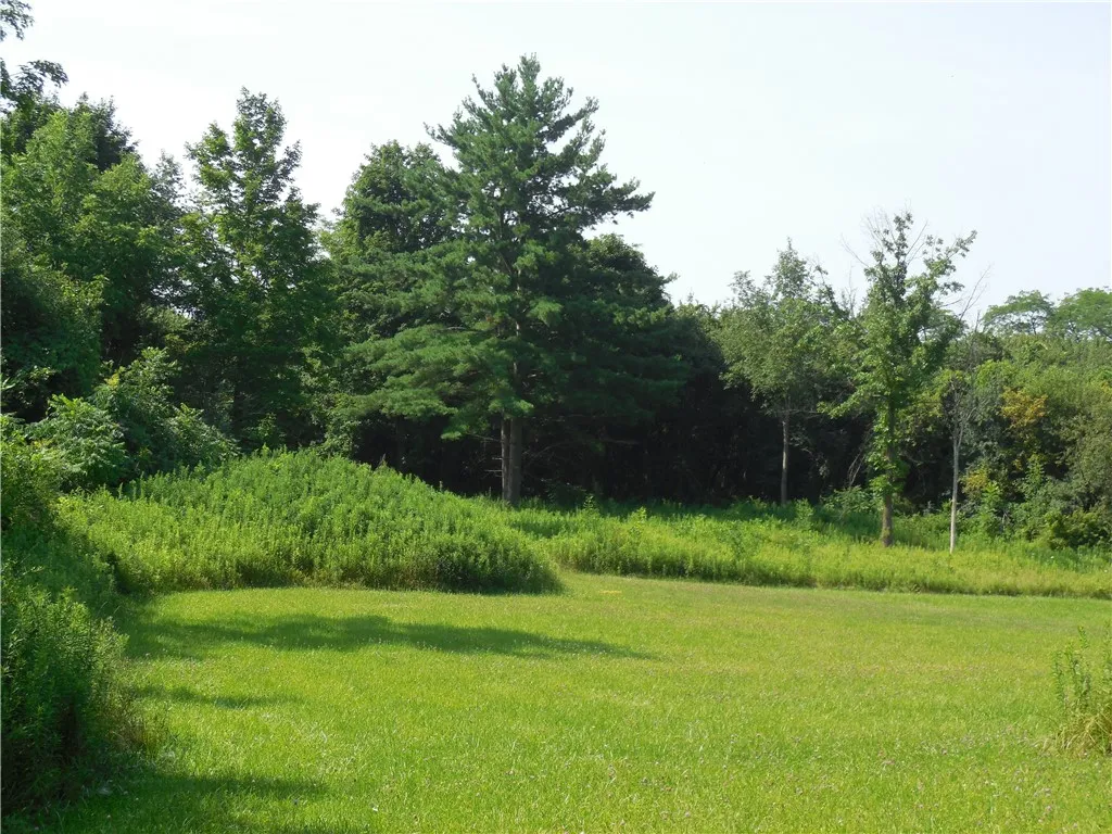 15 West Clymer Street, Auburn, New York 13021, Auburn, New York 13021, ,Land,For Sale,15 West Clymer Street, Auburn, New York 13021,0,R1554300