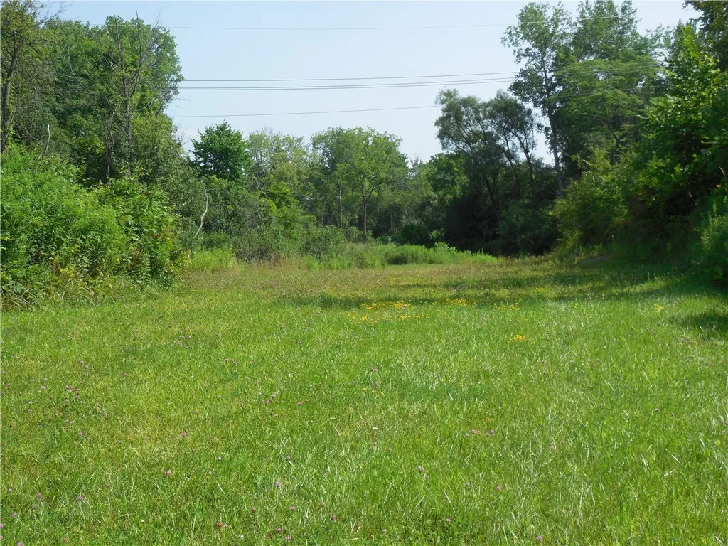 15 West Clymer Street, Auburn, New York 13021, Auburn, New York 13021, ,Land,For Sale,15 West Clymer Street, Auburn, New York 13021,0,R1554300
