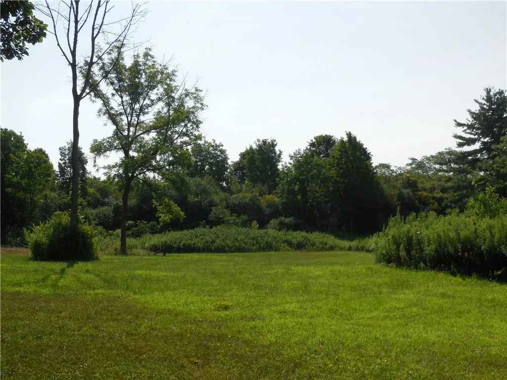 15 West Clymer Street, Auburn, New York 13021, Auburn, New York 13021, ,Land,For Sale,15 West Clymer Street, Auburn, New York 13021,0,R1554300