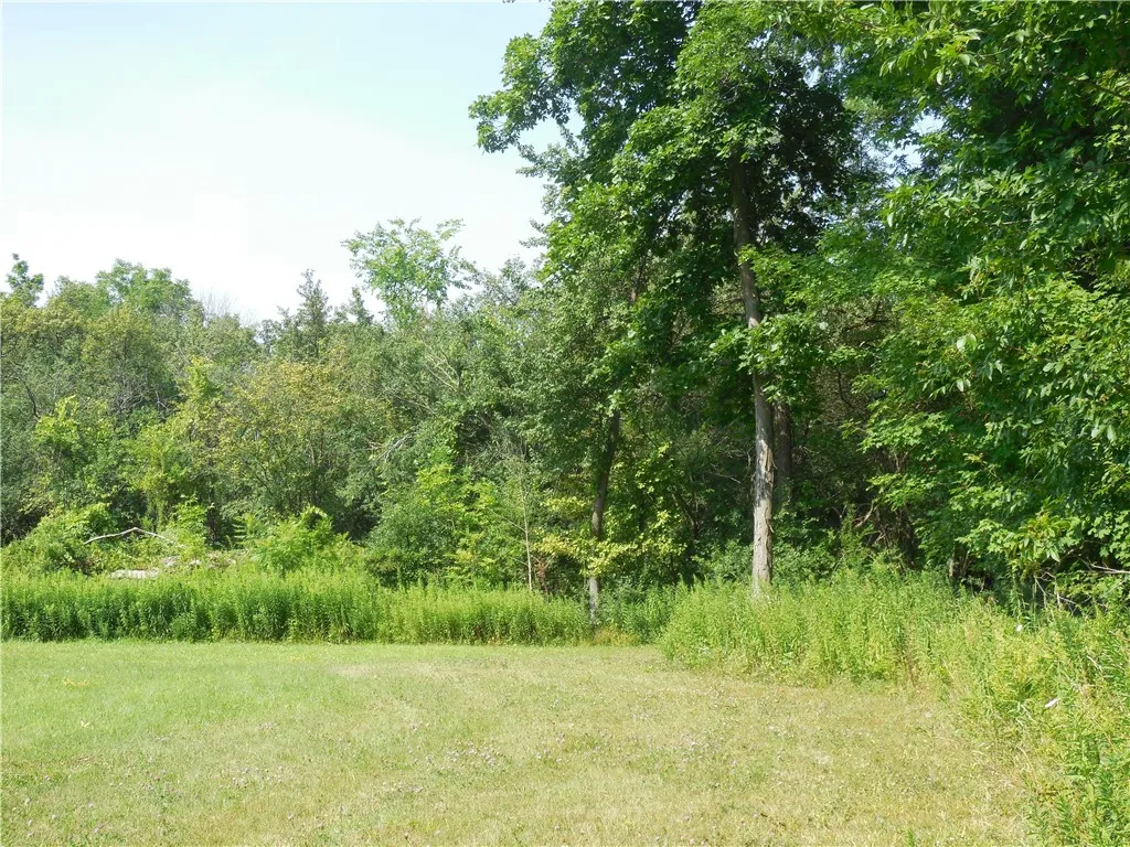 15 West Clymer Street, Auburn, New York 13021, Auburn, New York 13021, ,Land,For Sale,15 West Clymer Street, Auburn, New York 13021,0,R1554300