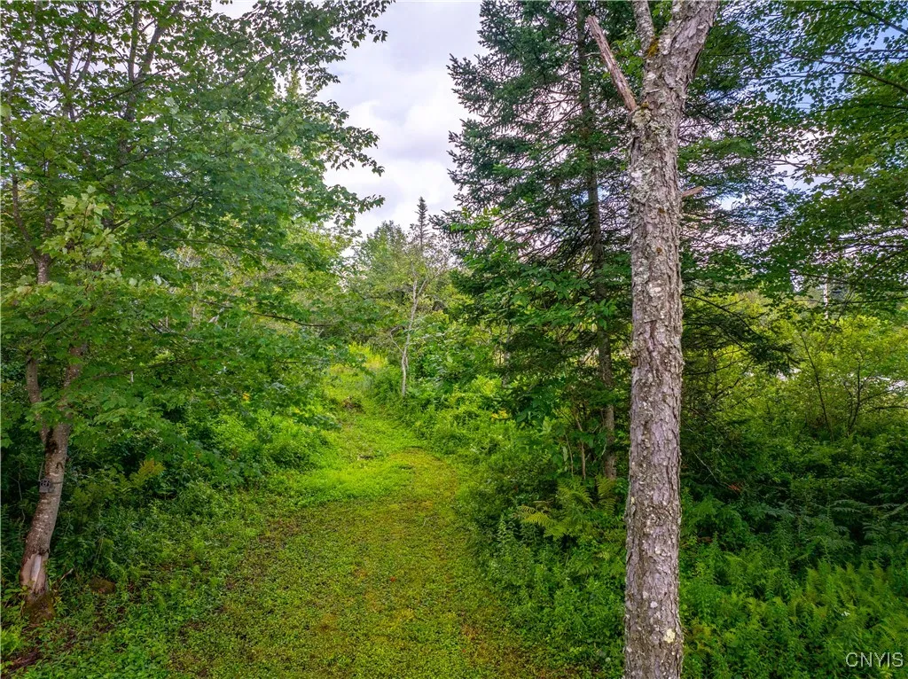 339 State Route 8, Morehouse, New York 13353, Morehouse, New York 13353, ,Land,For Sale,339 State Route 8, Morehouse, New York 13353,0,S1557961 339 State Route 8, Morehouse, New York 13353, Morehouse, New York 13353, ,Land,For Sale,339 State Route 8, Morehouse, New York 13353,0,S1557961