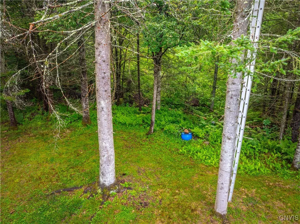 339 State Route 8, Morehouse, New York 13353, Morehouse, New York 13353, ,Land,For Sale,339 State Route 8, Morehouse, New York 13353,0,S1557961 339 State Route 8, Morehouse, New York 13353, Morehouse, New York 13353, ,Land,For Sale,339 State Route 8, Morehouse, New York 13353,0,S1557961