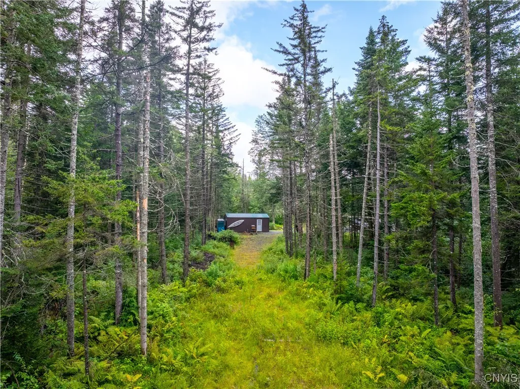 339 State Route 8, Morehouse, New York 13353, Morehouse, New York 13353, ,Land,For Sale,339 State Route 8, Morehouse, New York 13353,0,S1557961 339 State Route 8, Morehouse, New York 13353, Morehouse, New York 13353, ,Land,For Sale,339 State Route 8, Morehouse, New York 13353,0,S1557961