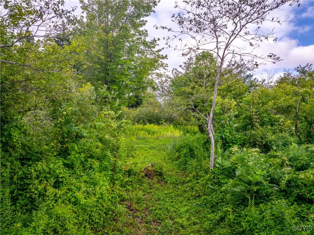 339 State Route 8, Morehouse, New York 13353, Morehouse, New York 13353, ,Land,For Sale,339 State Route 8, Morehouse, New York 13353,0,S1557961 339 State Route 8, Morehouse, New York 13353, Morehouse, New York 13353, ,Land,For Sale,339 State Route 8, Morehouse, New York 13353,0,S1557961