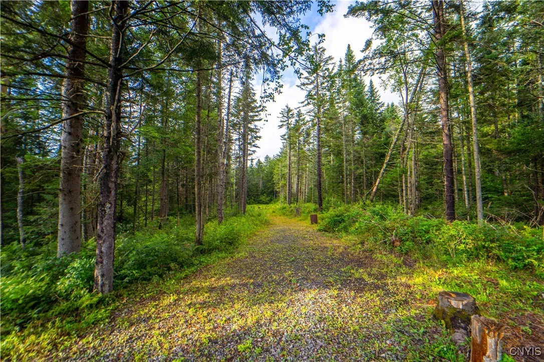 339 State Route 8, Morehouse, New York 13353, Morehouse, New York 13353, ,Land,For Sale,339 State Route 8, Morehouse, New York 13353,0,S1557961 339 State Route 8, Morehouse, New York 13353, Morehouse, New York 13353, ,Land,For Sale,339 State Route 8, Morehouse, New York 13353,0,S1557961