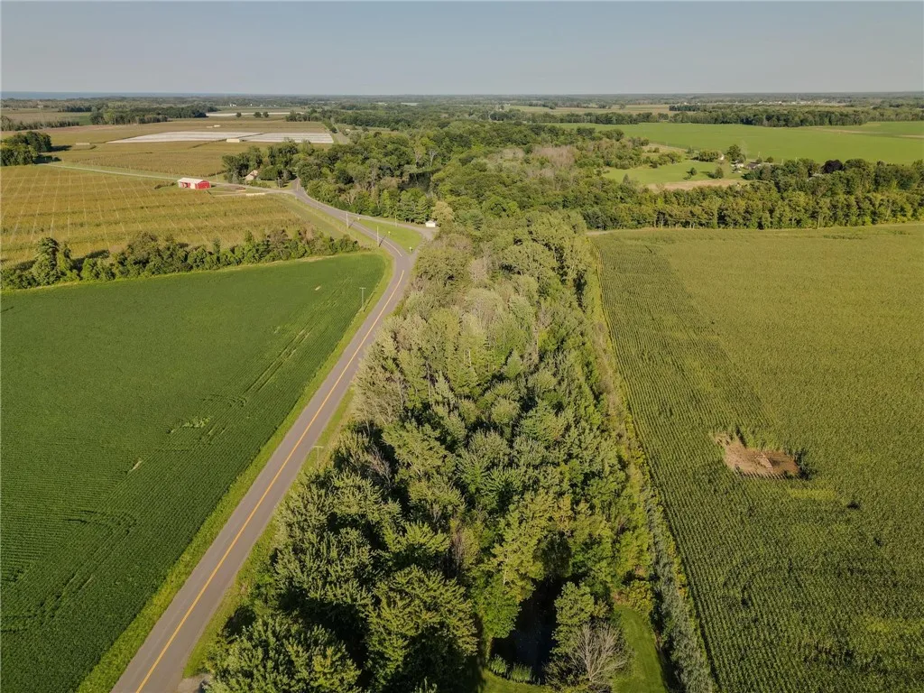 00 Oak Orchard River Rd Road, Carlton, New York 14, Carlton, New York 14411, ,Land,Closed,00 Oak Orchard River Rd Road, Carlton, New York 14,0,R1558045