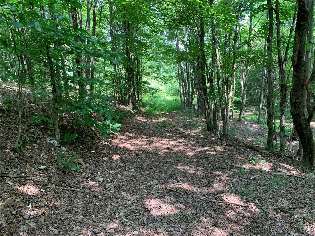 Old Road Headed North