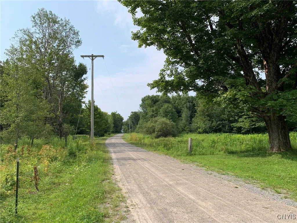 Power Pole, Ernst Road, Front Yard