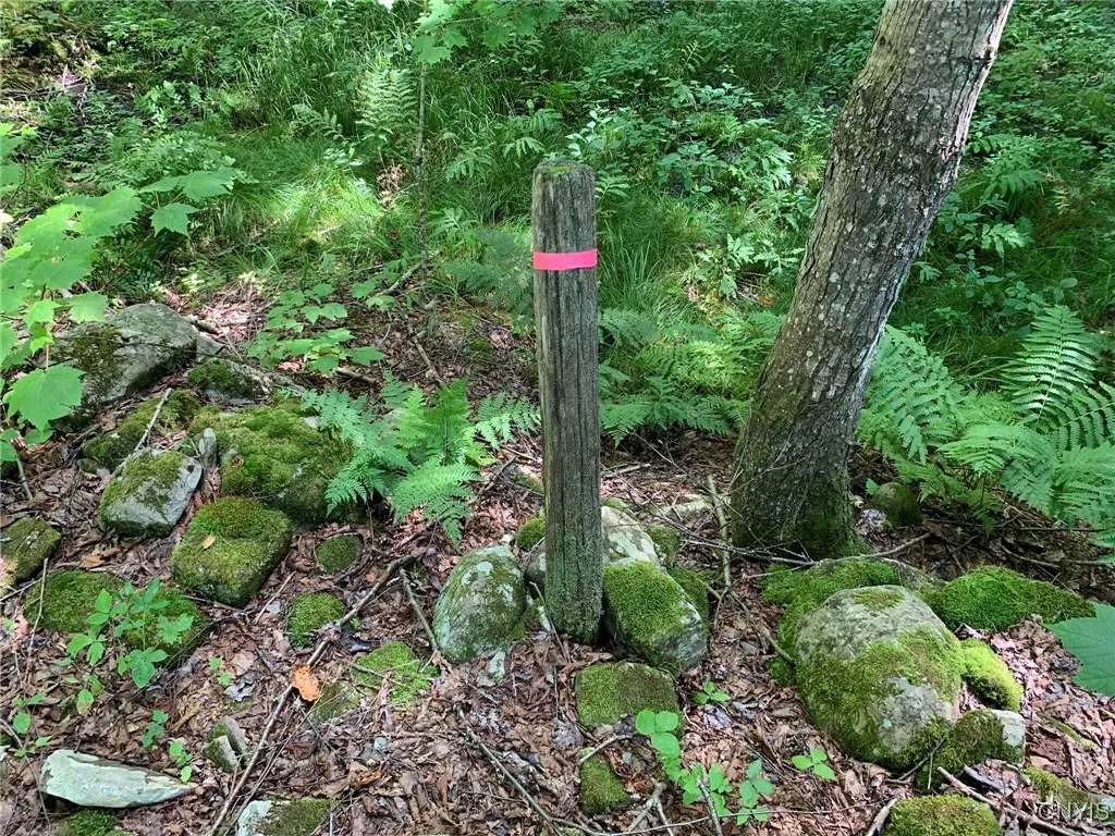 Cedar Boundary Fence Post