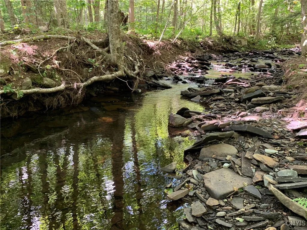Lyman Brook