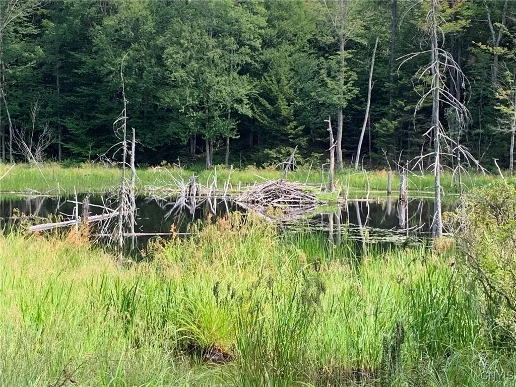 Beaver Lodge