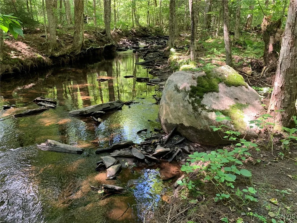 Lyman Brook