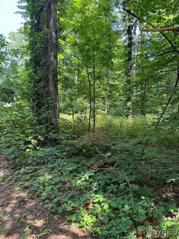 1777 Oakwood Drive, Newfane, New York 14028, Newfane, New York 14028, ,Land,Closed,1777 Oakwood Drive, Newfane, New York 14028,0,B1558786