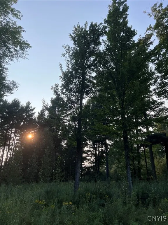 20467 Morin Lane North, Hounsfield, New York 13685, Hounsfield, New York 13685, ,Land,For Sale,20467 Morin Lane North, Hounsfield, New York 13685,S1559073