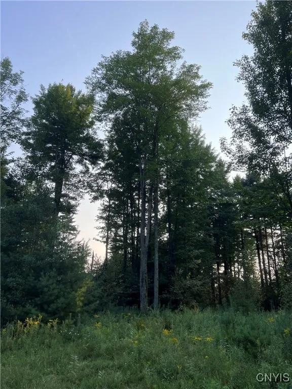 20467 Morin Lane North, Hounsfield, New York 13685, Hounsfield, New York 13685, ,Land,For Sale,20467 Morin Lane North, Hounsfield, New York 13685,S1559073