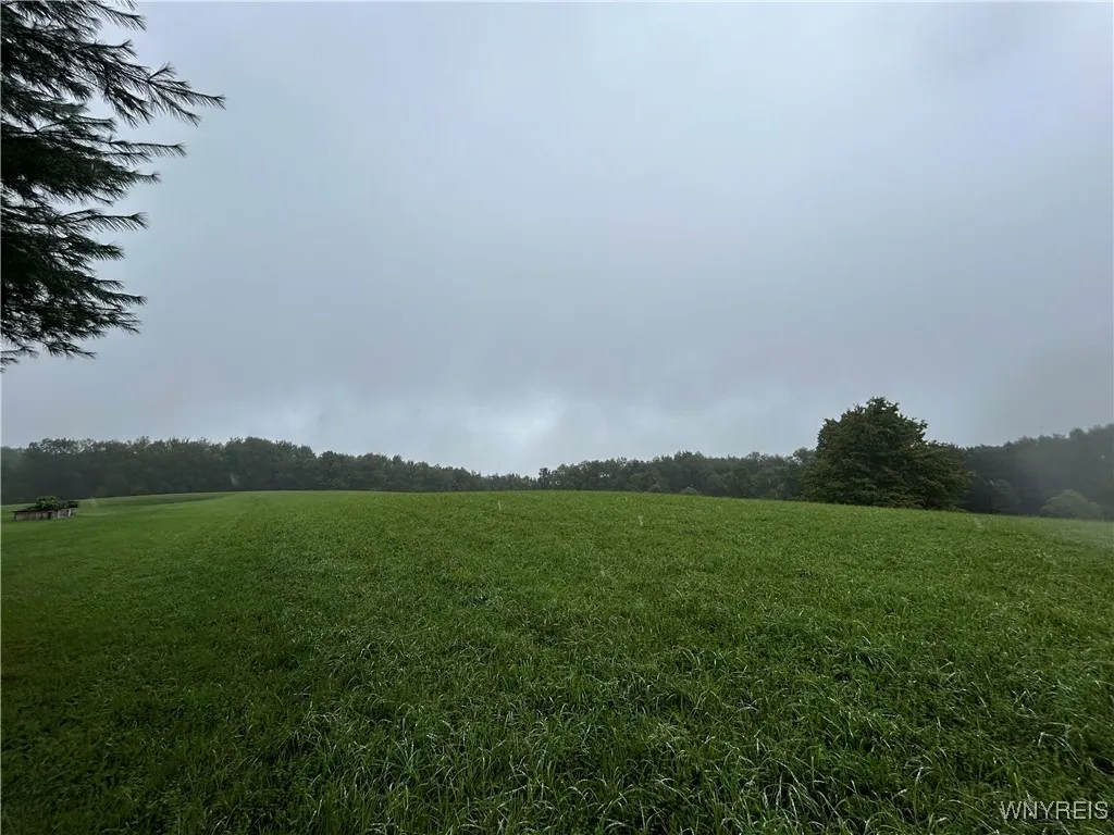 9238 Sibley Road, Concord, New York 14055, Concord, New York 14055, ,Land,For Sale,9238 Sibley Road, Concord, New York 14055,0,B1559464