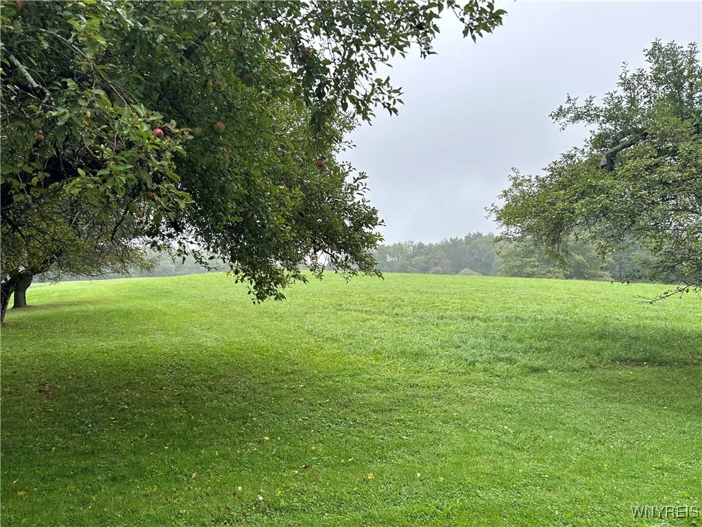 9238 Sibley Road, Concord, New York 14055, Concord, New York 14055, ,Land,For Sale,9238 Sibley Road, Concord, New York 14055,0,B1559464
