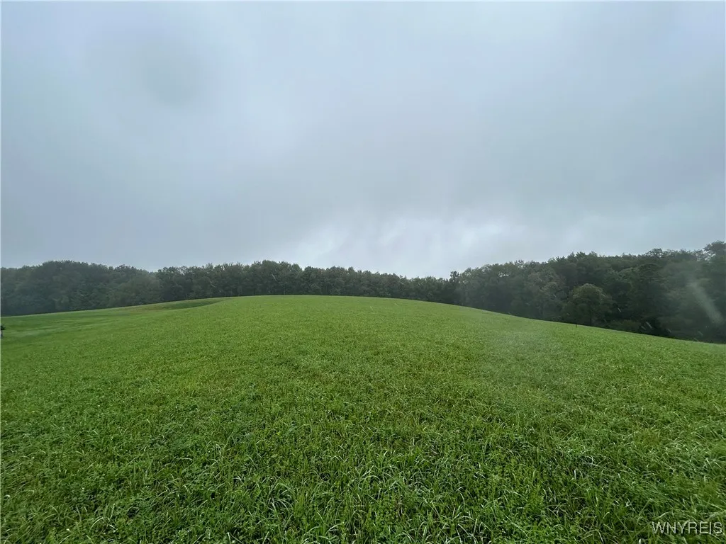 9238 Sibley Road, Concord, New York 14055, Concord, New York 14055, ,Land,For Sale,9238 Sibley Road, Concord, New York 14055,0,B1559464