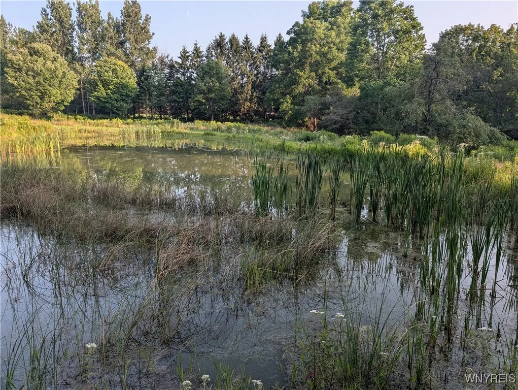 9152 Route 219, Ashford, New York 14171, Ashford, New York 14171, ,Land,For Sale,9152 Route 219, Ashford, New York 14171,0,B1559590