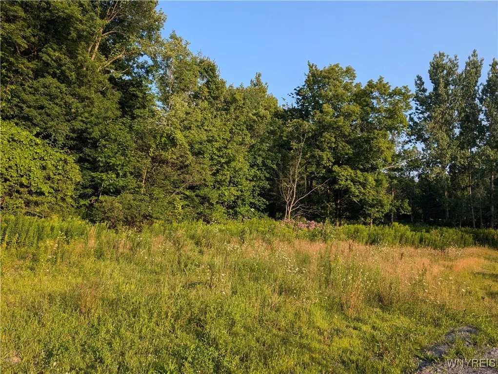 9152 Route 219, Ashford, New York 14171, Ashford, New York 14171, ,Land,For Sale,9152 Route 219, Ashford, New York 14171,0,B1559590