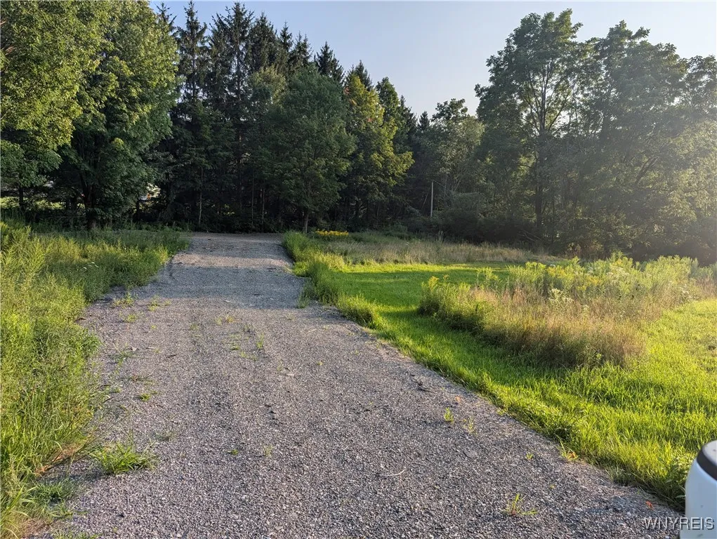 9152 Route 219, Ashford, New York 14171, Ashford, New York 14171, ,Land,For Sale,9152 Route 219, Ashford, New York 14171,0,B1559590