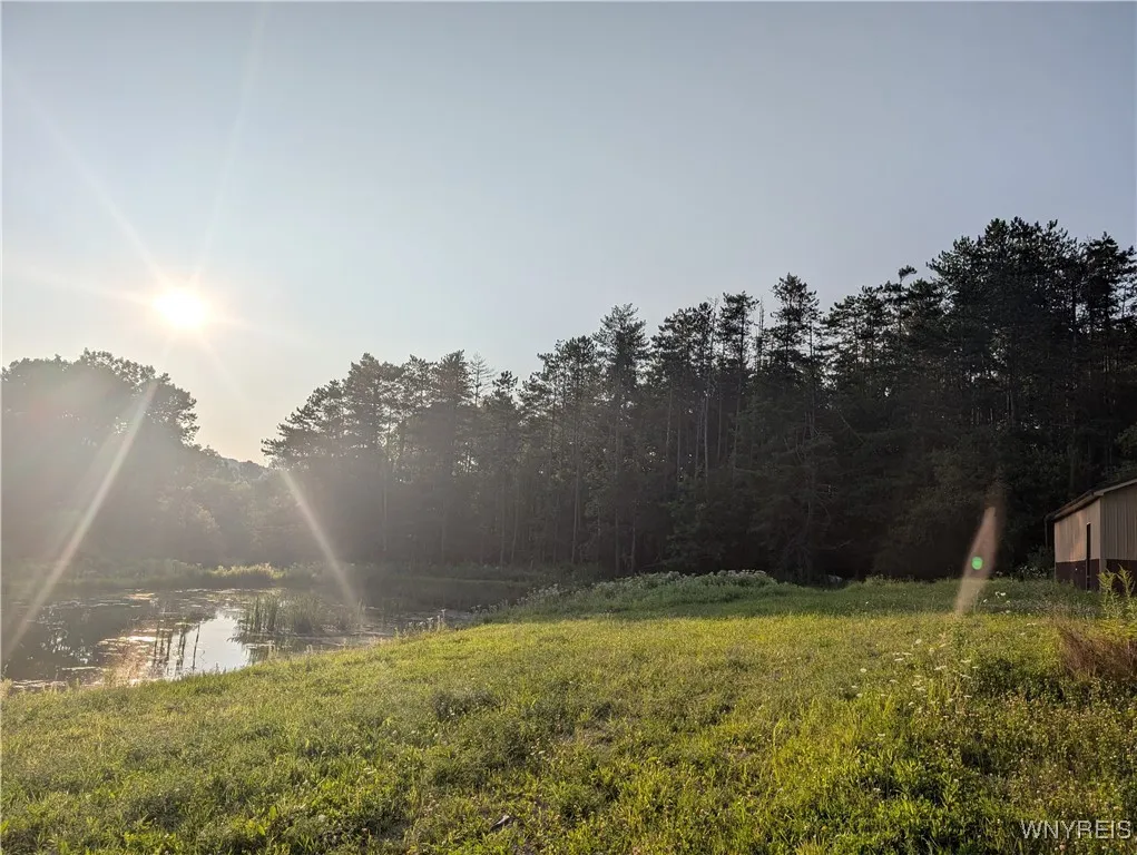 9152 Route 219, Ashford, New York 14171, Ashford, New York 14171, ,Land,For Sale,9152 Route 219, Ashford, New York 14171,0,B1559590