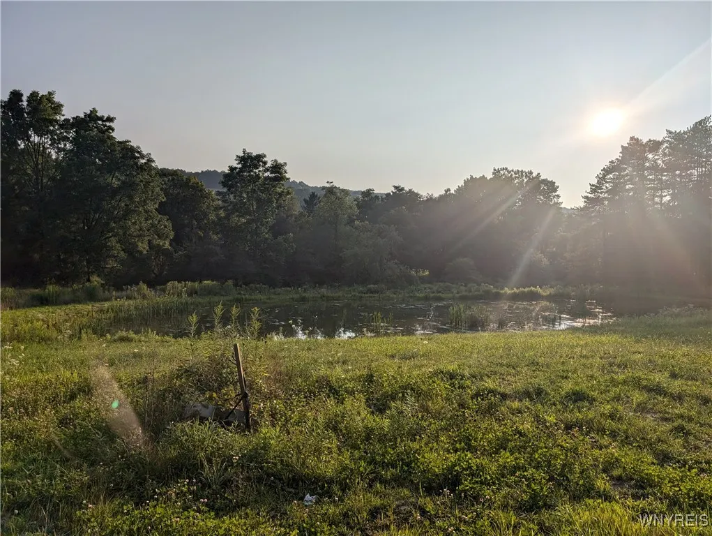 9152 Route 219, Ashford, New York 14171, Ashford, New York 14171, ,Land,For Sale,9152 Route 219, Ashford, New York 14171,0,B1559590