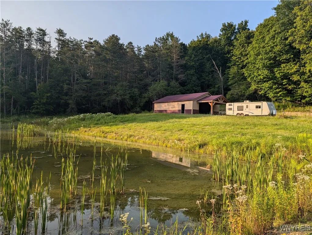 9152 Route 219, Ashford, New York 14171, Ashford, New York 14171, ,Land,For Sale,9152 Route 219, Ashford, New York 14171,0,B1559590