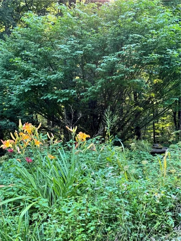 1356 Terry Clove Road, Hamden, New York 13752, Hamden, New York 13752, 3 Bedrooms Bedrooms, 6 Rooms Rooms,3 BathroomsBathrooms,Residential,Closed,1356 Terry Clove Road, Hamden, New York 13752,0,R1559612