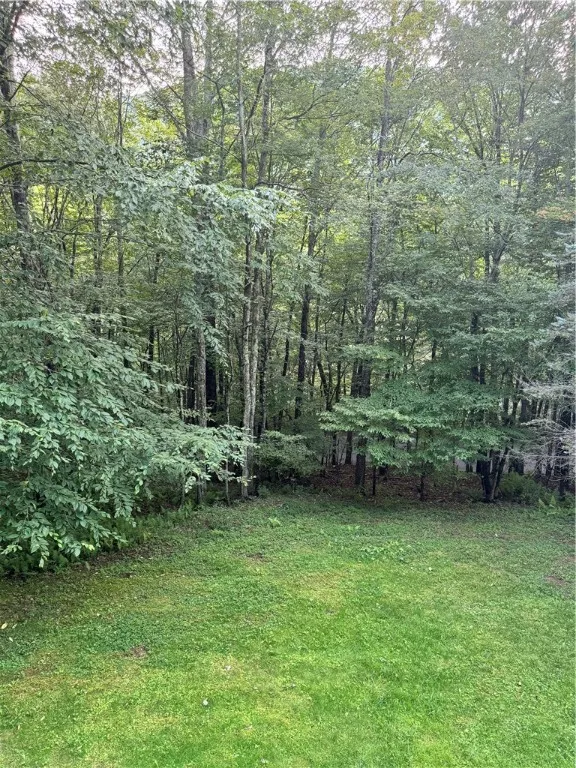 1356 Terry Clove Road, Hamden, New York 13752, Hamden, New York 13752, 3 Bedrooms Bedrooms, 6 Rooms Rooms,3 BathroomsBathrooms,Residential,Closed,1356 Terry Clove Road, Hamden, New York 13752,0,R1559612