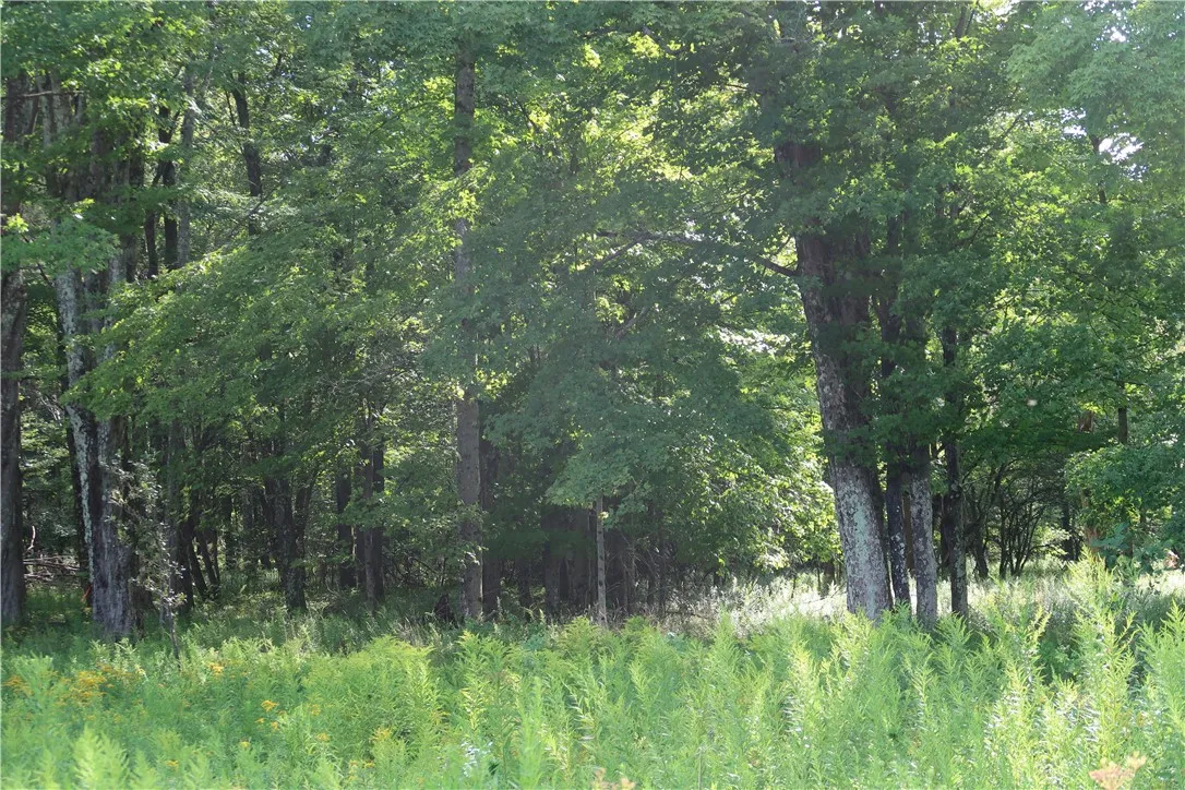 Lot 4 German Road, Willet, New York 13863, Willet, New York 13863, ,Land,Closed,Lot 4 German Road, Willet, New York 13863,0,R1560059