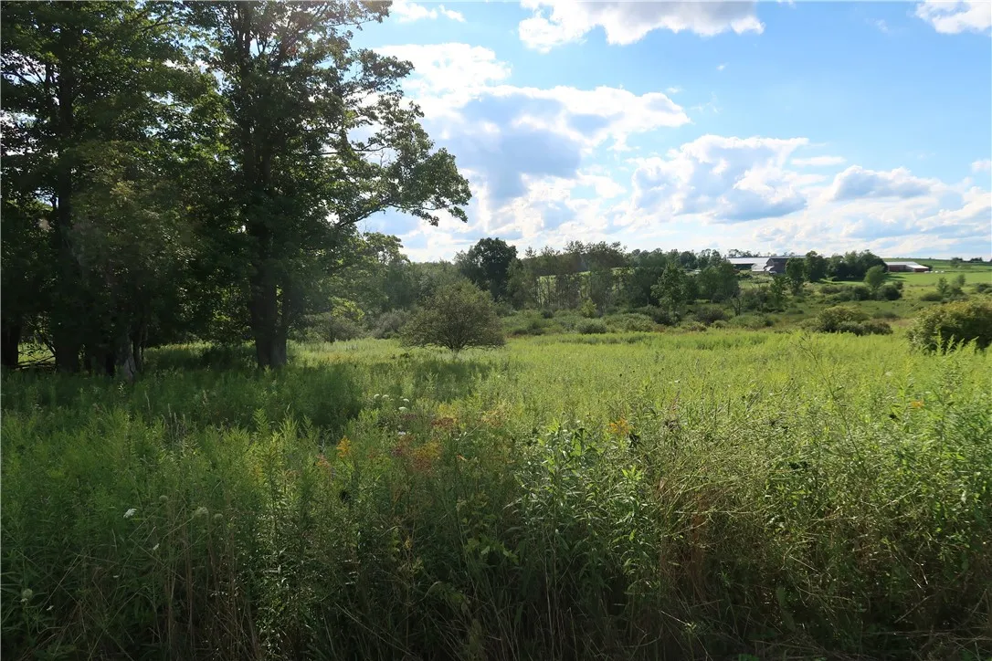 Lot 4 German Road, Willet, New York 13863, Willet, New York 13863, ,Land,Closed,Lot 4 German Road, Willet, New York 13863,0,R1560059