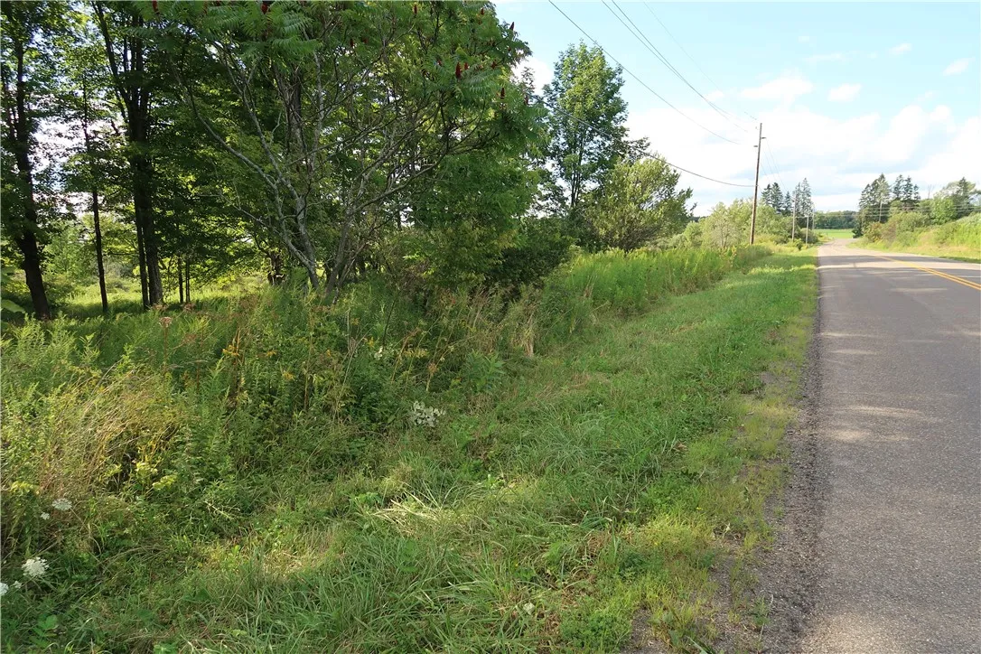 Lot 4 German Road, Willet, New York 13863, Willet, New York 13863, ,Land,Closed,Lot 4 German Road, Willet, New York 13863,0,R1560059