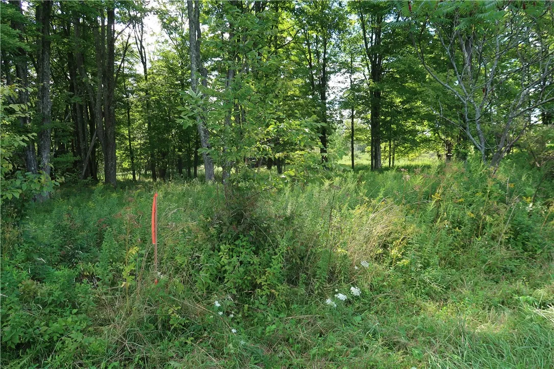 Lot 4 German Road, Willet, New York 13863, Willet, New York 13863, ,Land,Closed,Lot 4 German Road, Willet, New York 13863,0,R1560059