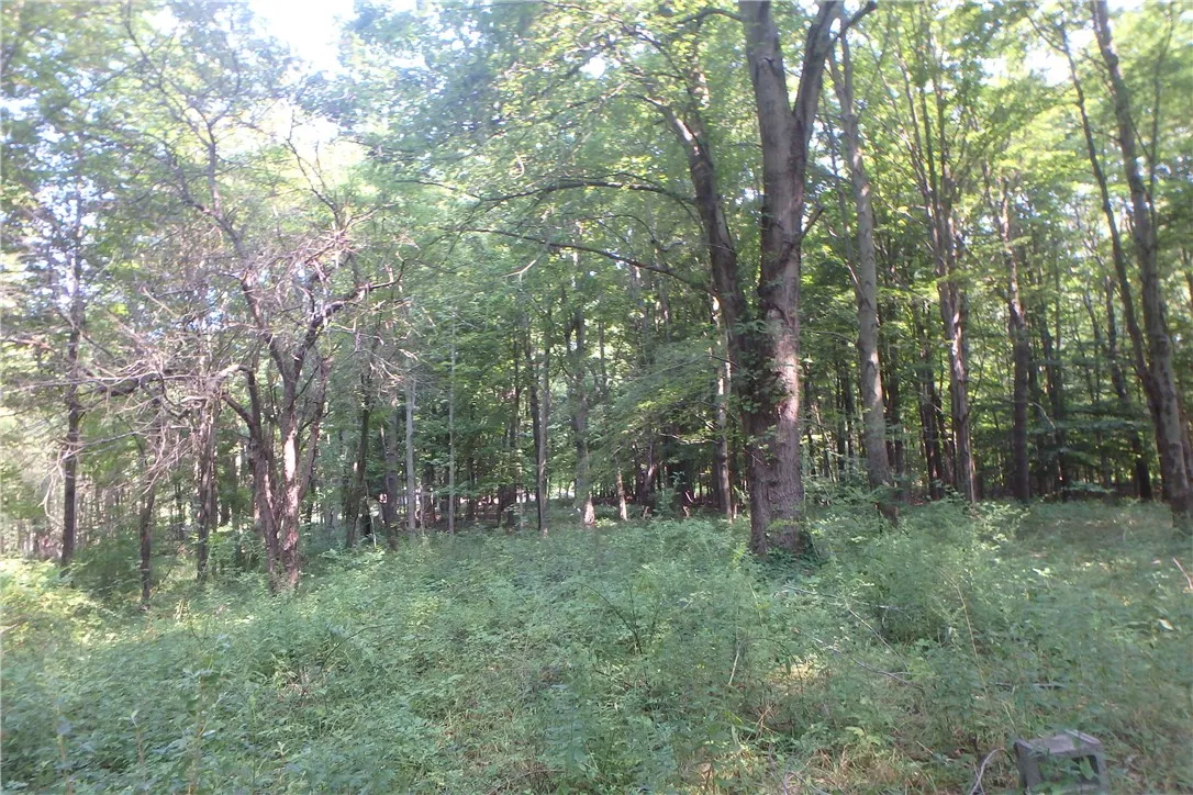 0 Fair Haven Road, Sterling, New York 13156, Sterling, New York 13156, ,Land,Closed,0 Fair Haven Road, Sterling, New York 13156,0,R1560208