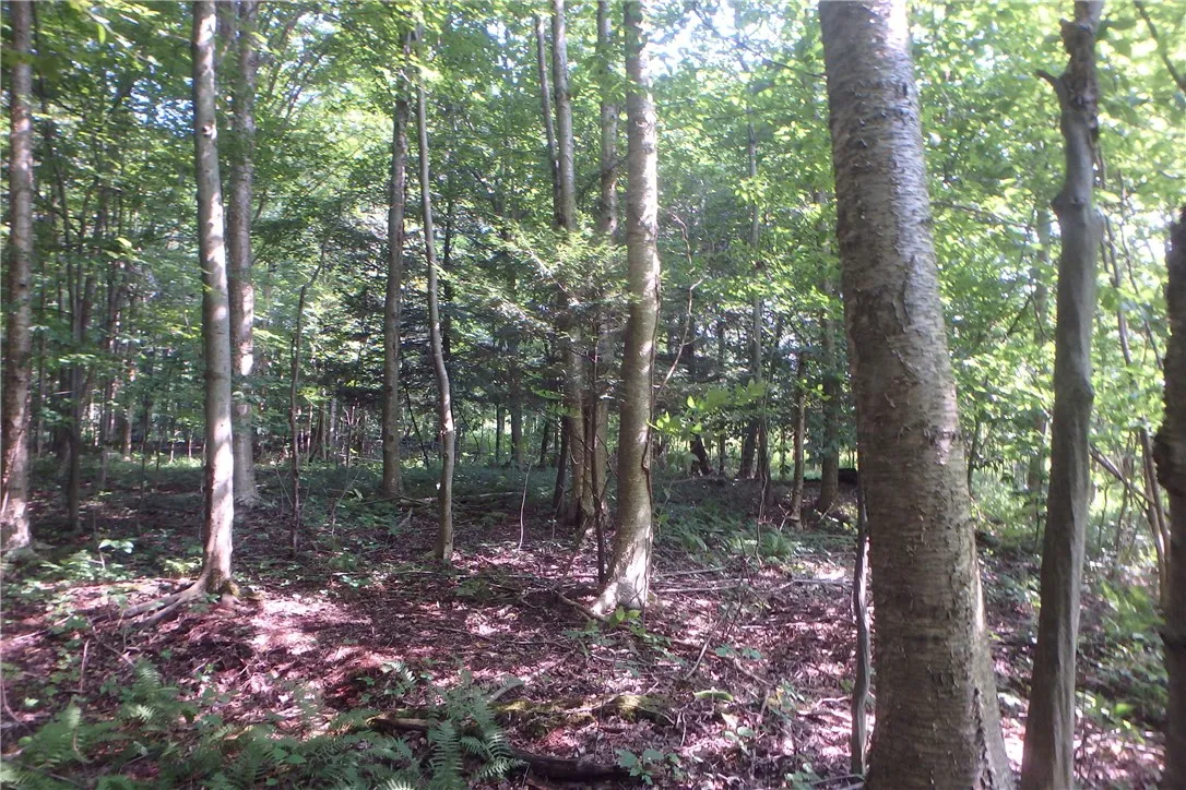 0 Fair Haven Road, Sterling, New York 13156, Sterling, New York 13156, ,Land,Closed,0 Fair Haven Road, Sterling, New York 13156,0,R1560208