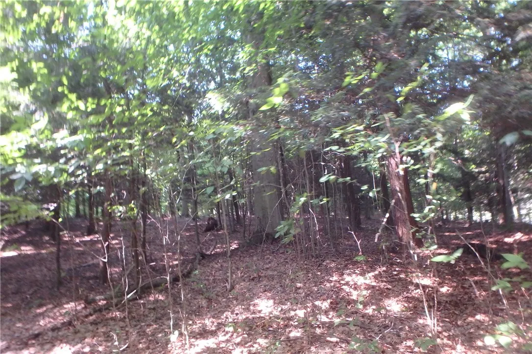 0 Fair Haven Road, Sterling, New York 13156, Sterling, New York 13156, ,Land,Closed,0 Fair Haven Road, Sterling, New York 13156,0,R1560208