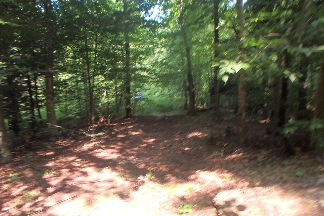 0 Fair Haven Road, Sterling, New York 13156, Sterling, New York 13156, ,Land,Closed,0 Fair Haven Road, Sterling, New York 13156,0,R1560208