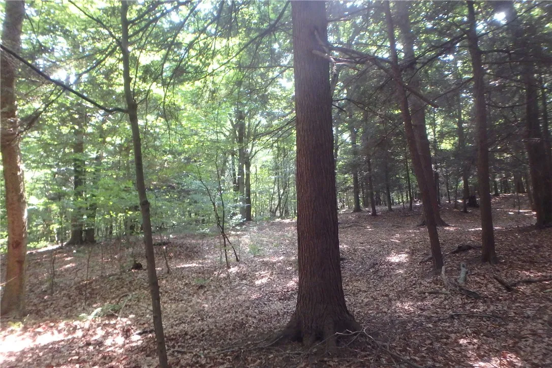 0 Fair Haven Road, Sterling, New York 13156, Sterling, New York 13156, ,Land,Closed,0 Fair Haven Road, Sterling, New York 13156,0,R1560208