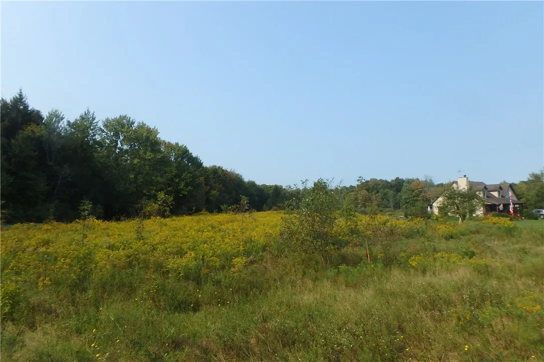 0 Fair Haven Road, Sterling, New York 13156, Sterling, New York 13156, ,Land,Closed,0 Fair Haven Road, Sterling, New York 13156,0,R1560208