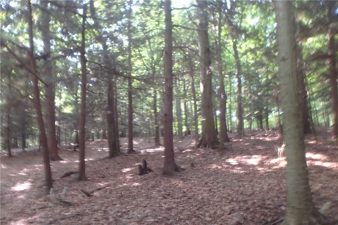 0 Fair Haven Road, Sterling, New York 13156, Sterling, New York 13156, ,Land,Closed,0 Fair Haven Road, Sterling, New York 13156,0,R1560208