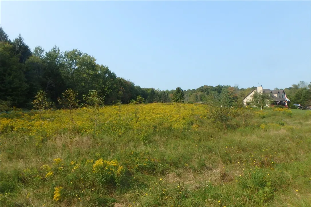 0 Fair Haven Road, Sterling, New York 13156, Sterling, New York 13156, ,Land,Closed,0 Fair Haven Road, Sterling, New York 13156,0,R1560208