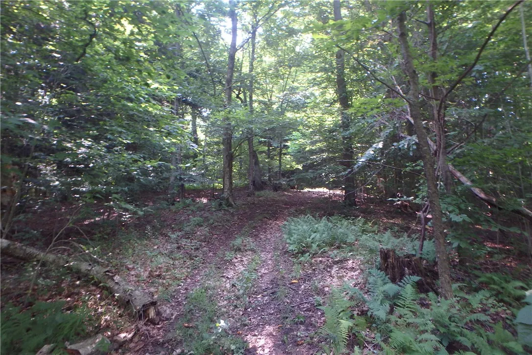 0 Fair Haven Road, Sterling, New York 13156, Sterling, New York 13156, ,Land,Closed,0 Fair Haven Road, Sterling, New York 13156,0,R1560208